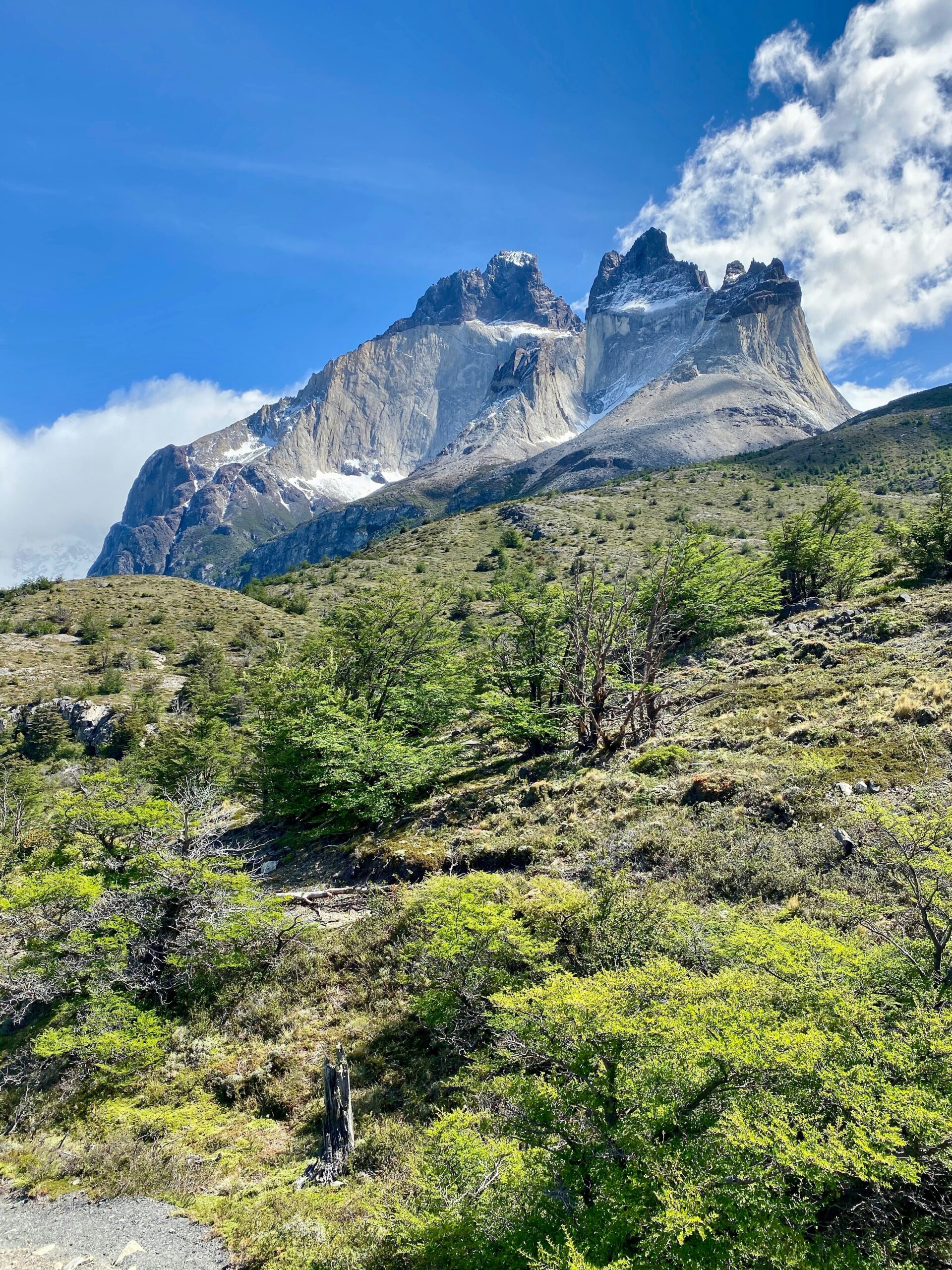 diego allen fhasvm tmve unsplash